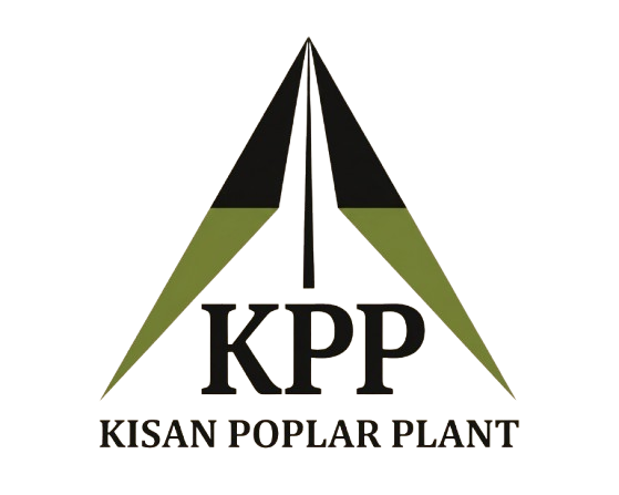 Kisan Poplar Plant by Bittu Tyagi